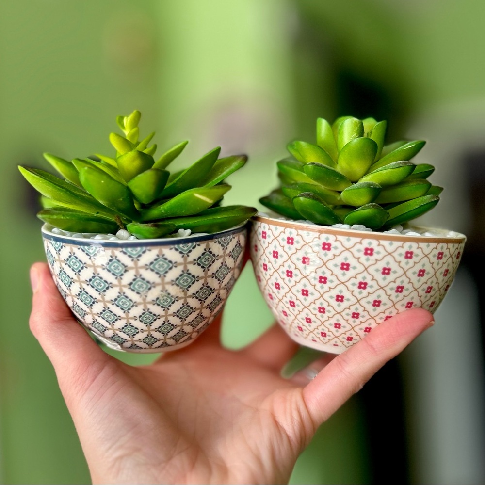 Adorable Mini Potted Faux Succulent Desert Green Plant Decor Accent Set of 2 - Picture 2 of 9
